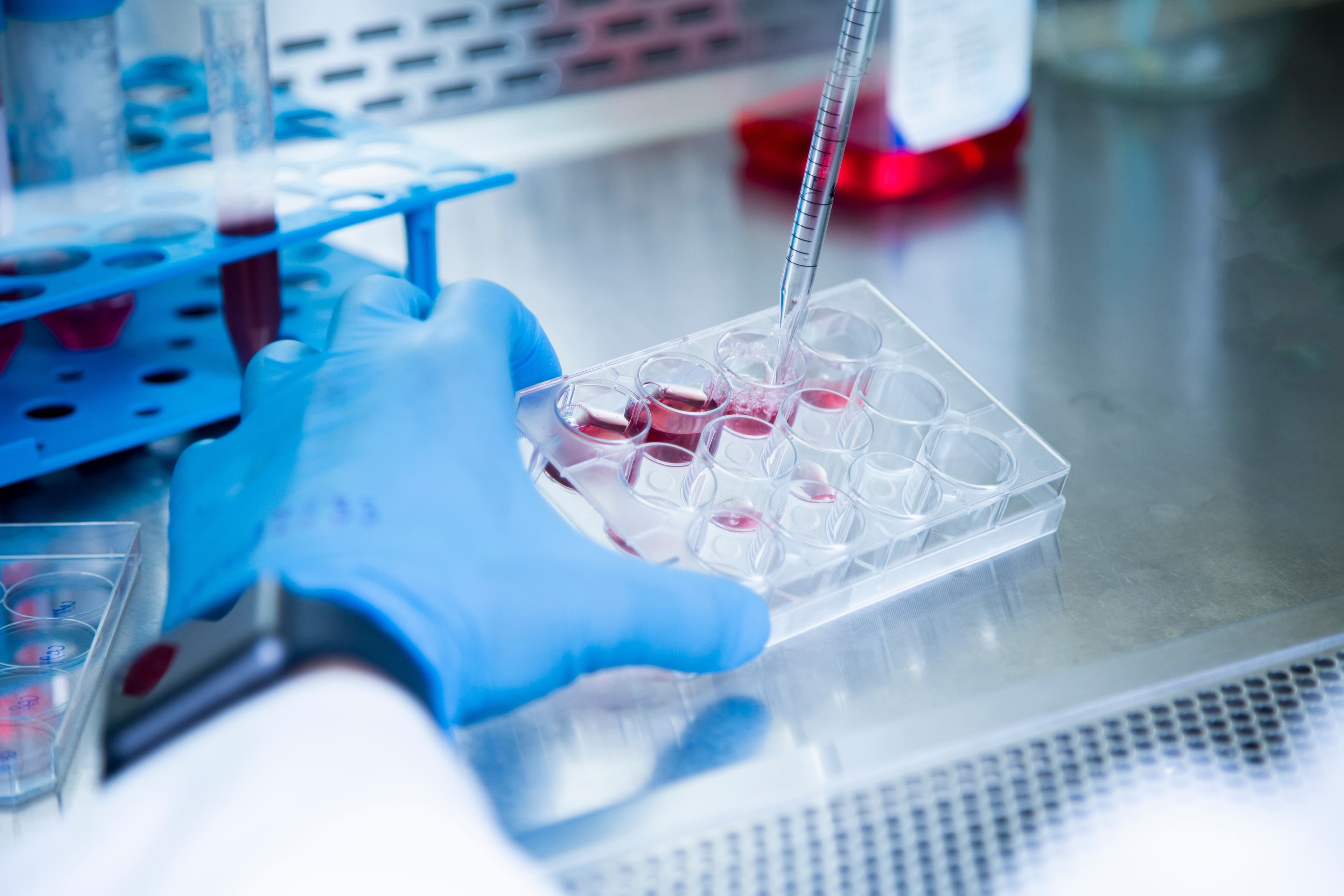 Nucleotide / Protein / Antibody life science marketing Nucleotide / Protein / Antibody life science marketing