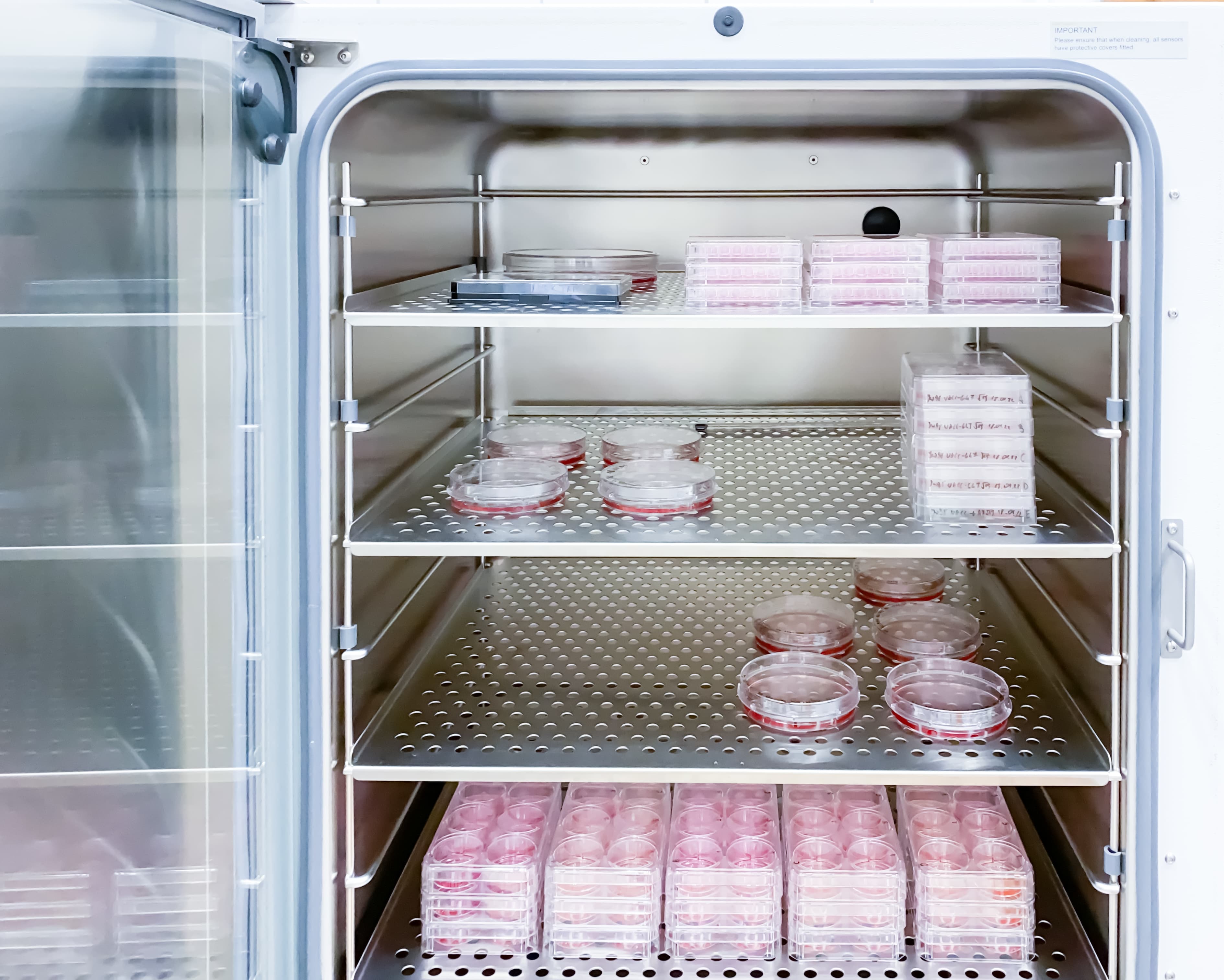 Cell Culture & Bioprocessing life science marketing Cell Culture & Bioprocessing life science marketing