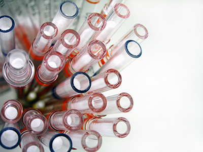 Network internet brain head