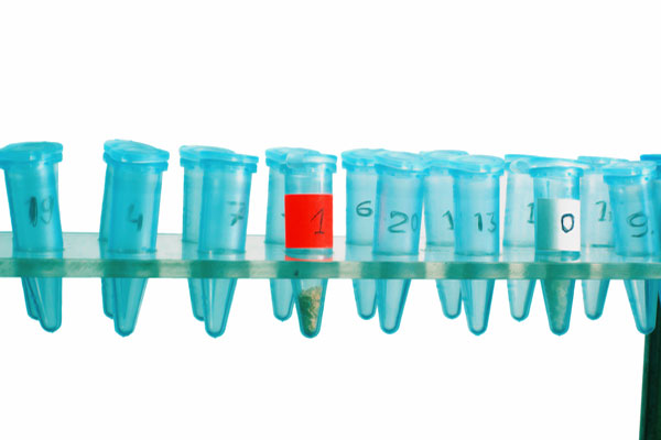 By simplifying the purchasing decision you can not only gain more customers, but create more satisfied customers as well.