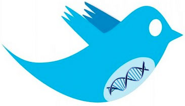Twitter is the most popular platform for life science marketing, and can be a powerful tool when used correctly.