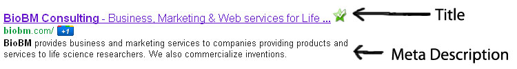 Search Engine Optimization Tips