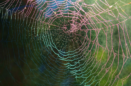Wide Nets Don’t Win